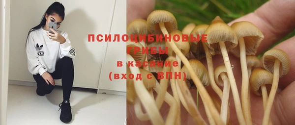 спайс Аркадак