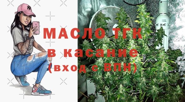 гидра Арсеньев