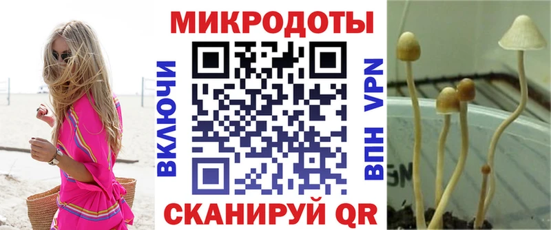 Галлюциногенные грибы прущие грибы  купить наркоту  Топки 